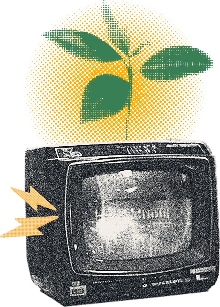 decorative image